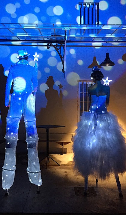 echassiers-lumineux-dos échassiers lumineux de dos