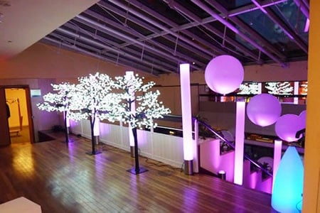 Arbre à led extérieur