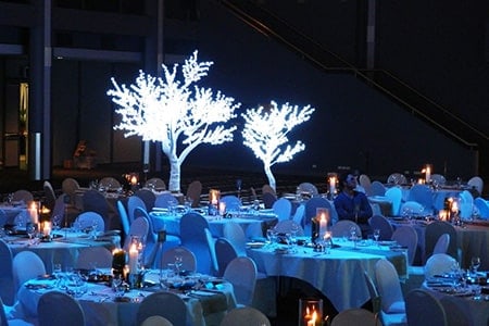 Arbre lumineux cerisier