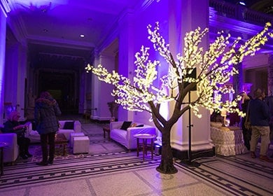 Arbre lumineux extérieur