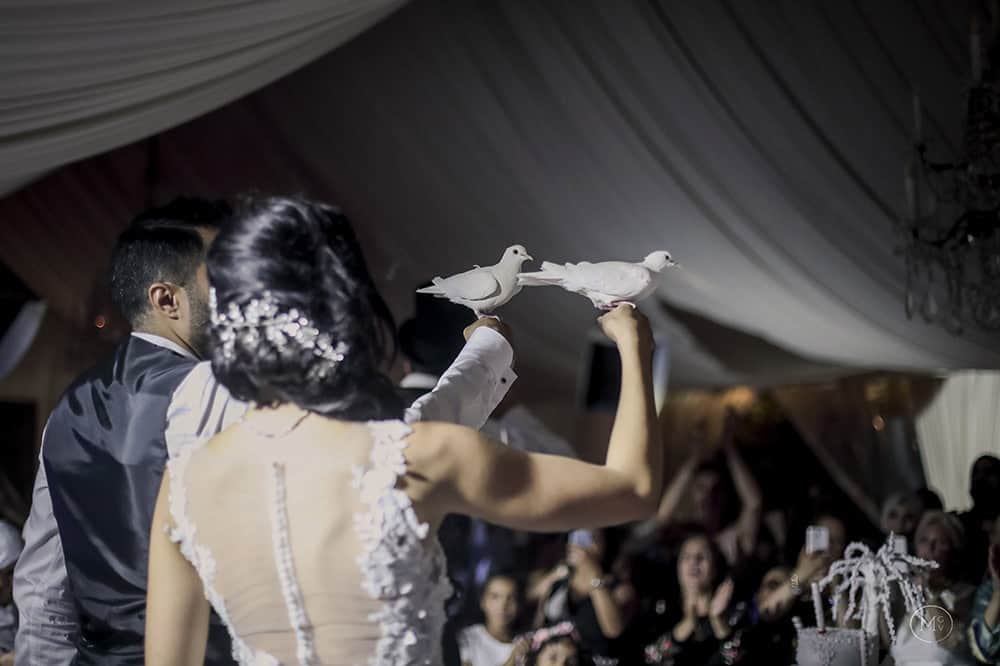 apparition colombes mariage