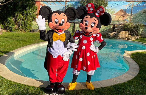 Mascotte mickey et Minnie haute qualité à la location